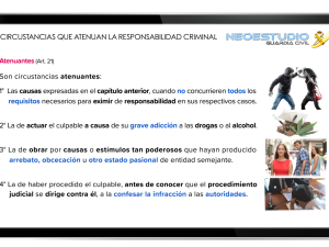 9- Videolibro